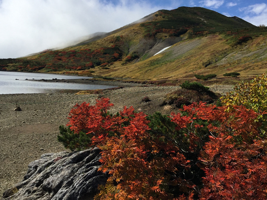 大池の紅葉